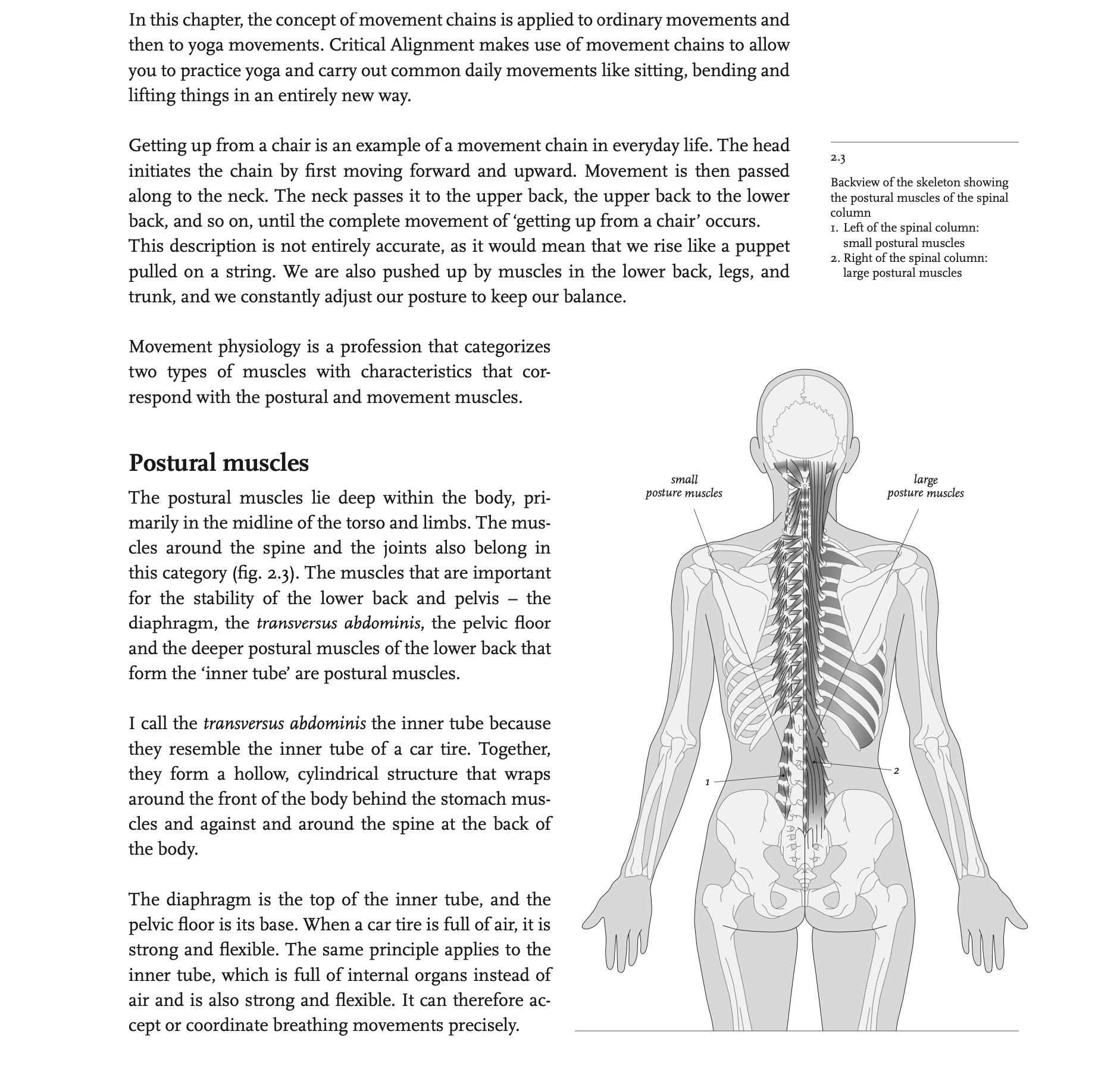 “Mind and body are two lanes on the same road” - Critical Alignment